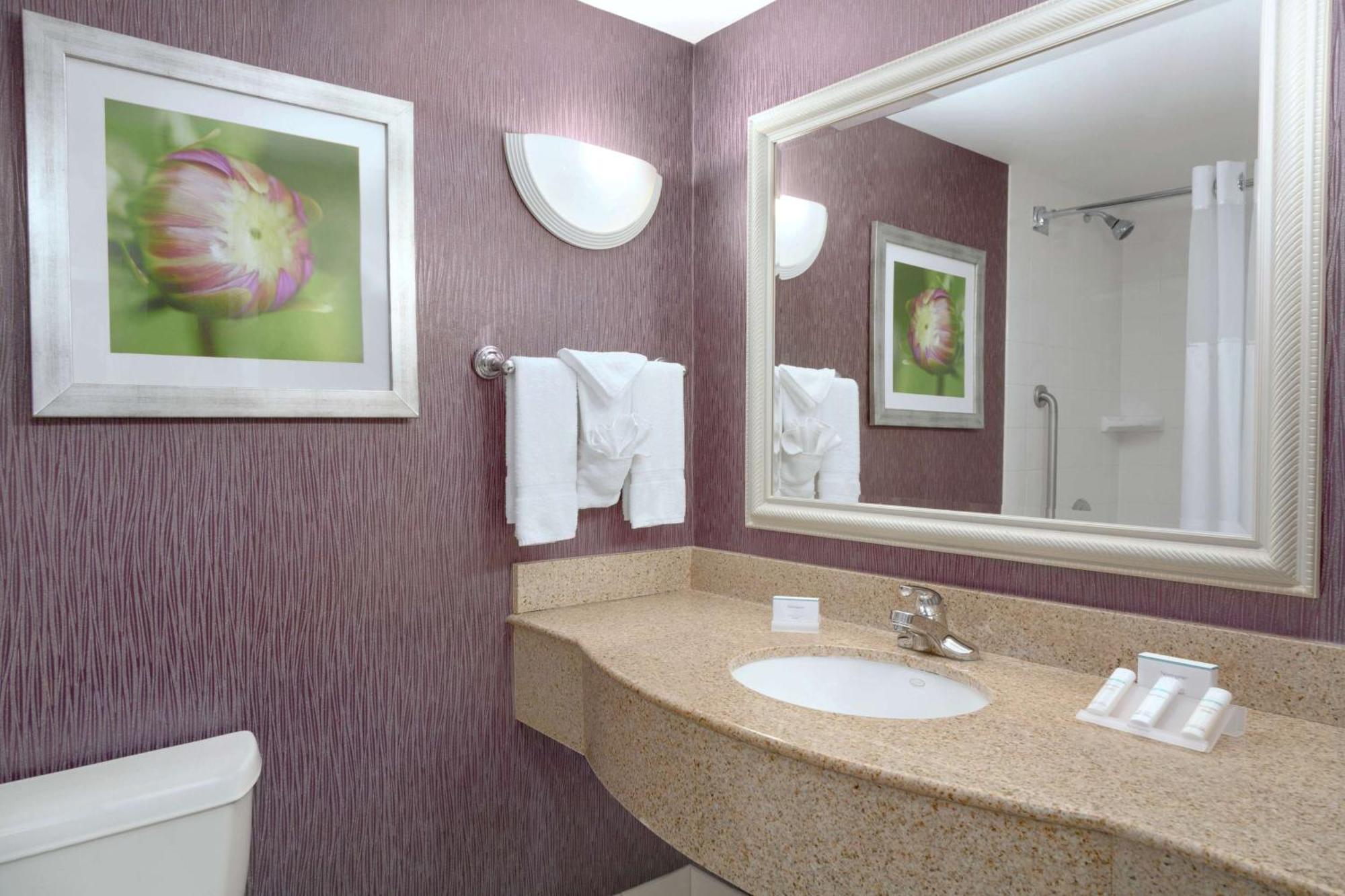 Hilton Garden Inn Springfield, MA Exterior foto