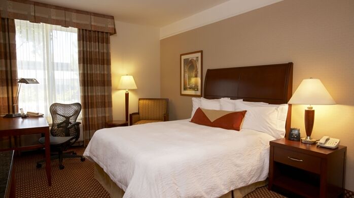 Hilton Garden Inn Springfield, MA Exterior foto